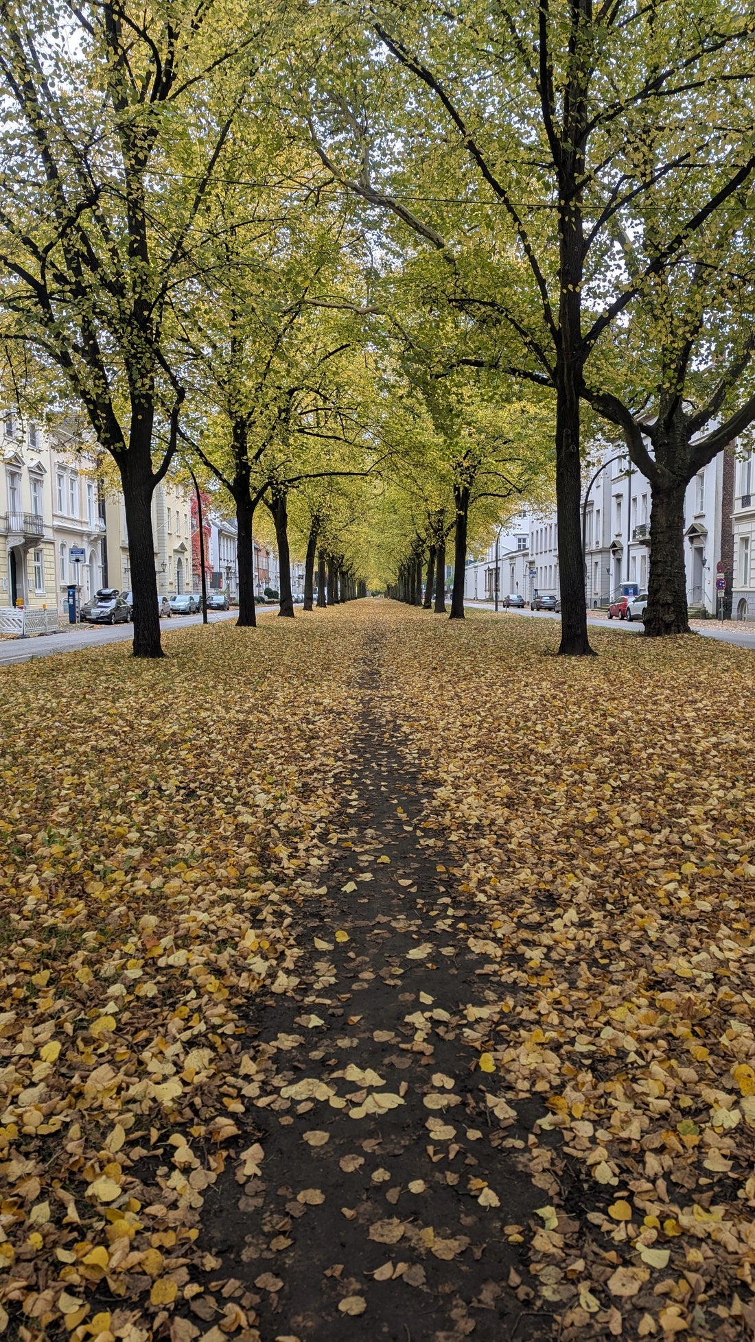 Billet paysan #60 | Hamburg