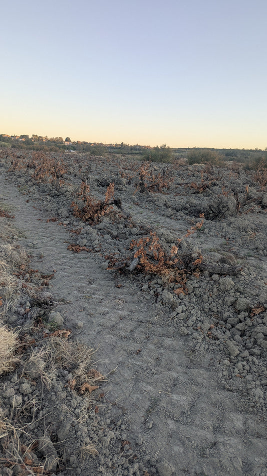 Billet paysan #62 | Rotation