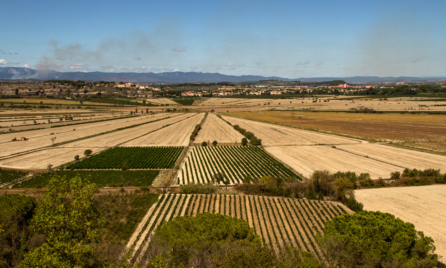 etang de montady domaine roquefeuille